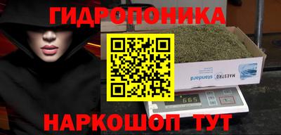 spice Берёзовский