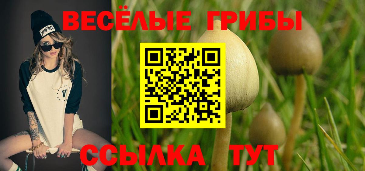 Кашира  Галлюциногенные грибы Psilocybe  Вход с VPN 